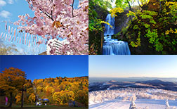 사계절을 체감하다