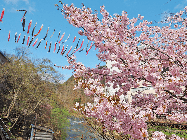 조잔케이 온천 계류 잉어 노보리